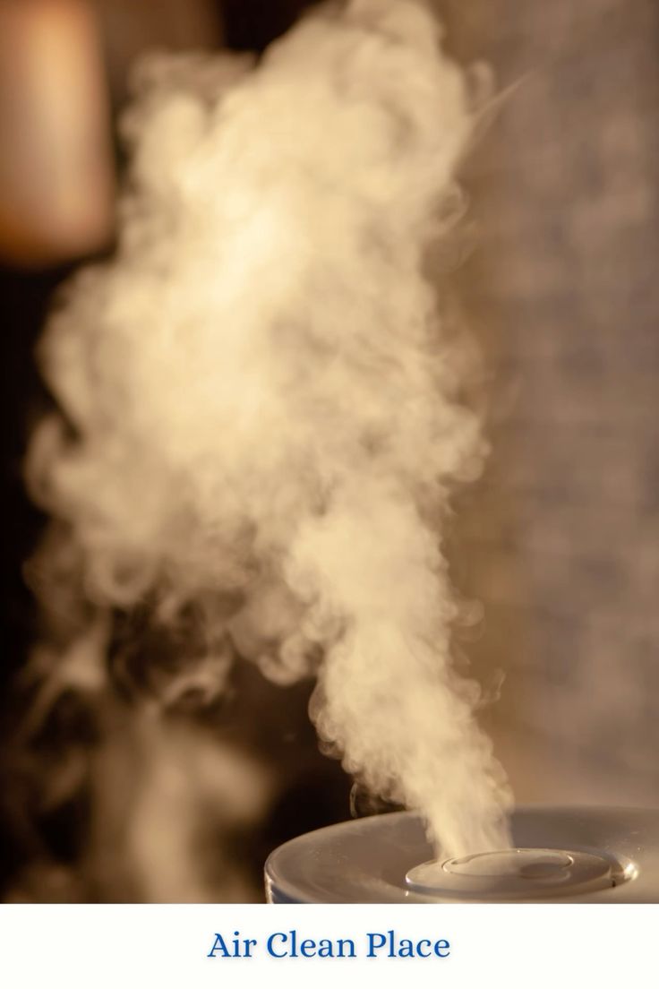 Aroma diffuser vs humidifier