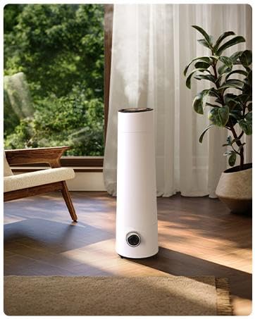 White tea diffuser oil in India