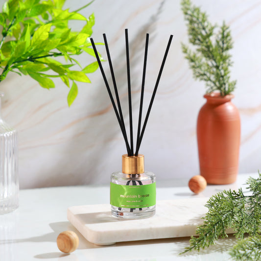 Reviews of long-lasting reed diffusers with strong fragrance