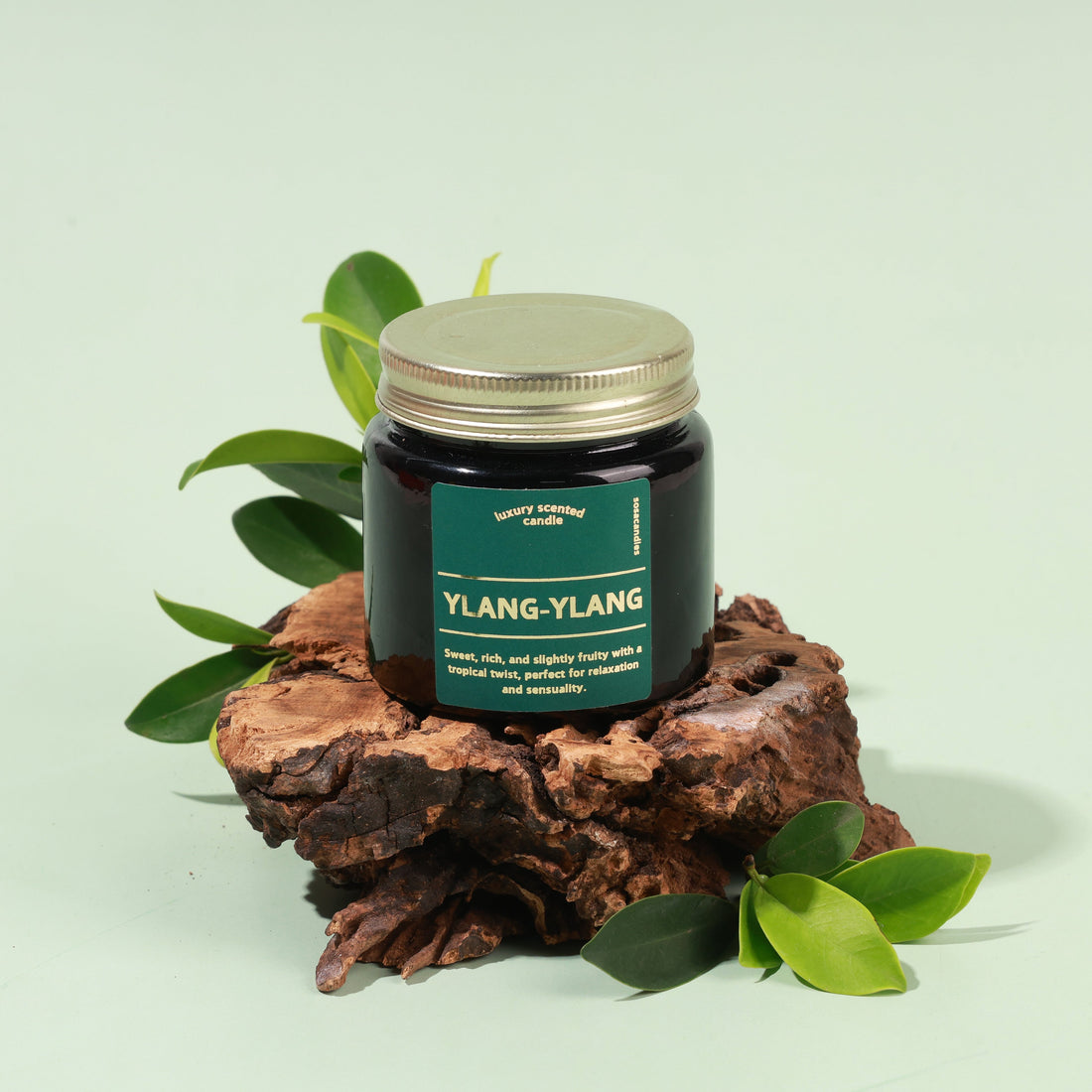 Best Natural Scented Candles for Bedroom India 2026