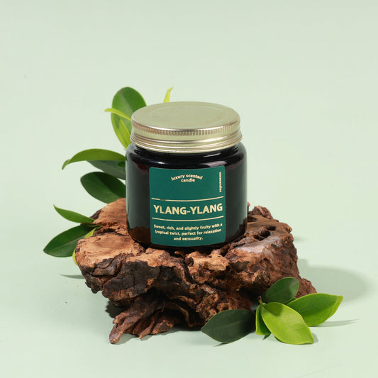 Best Natural Scented Candles for Bedroom India 2026