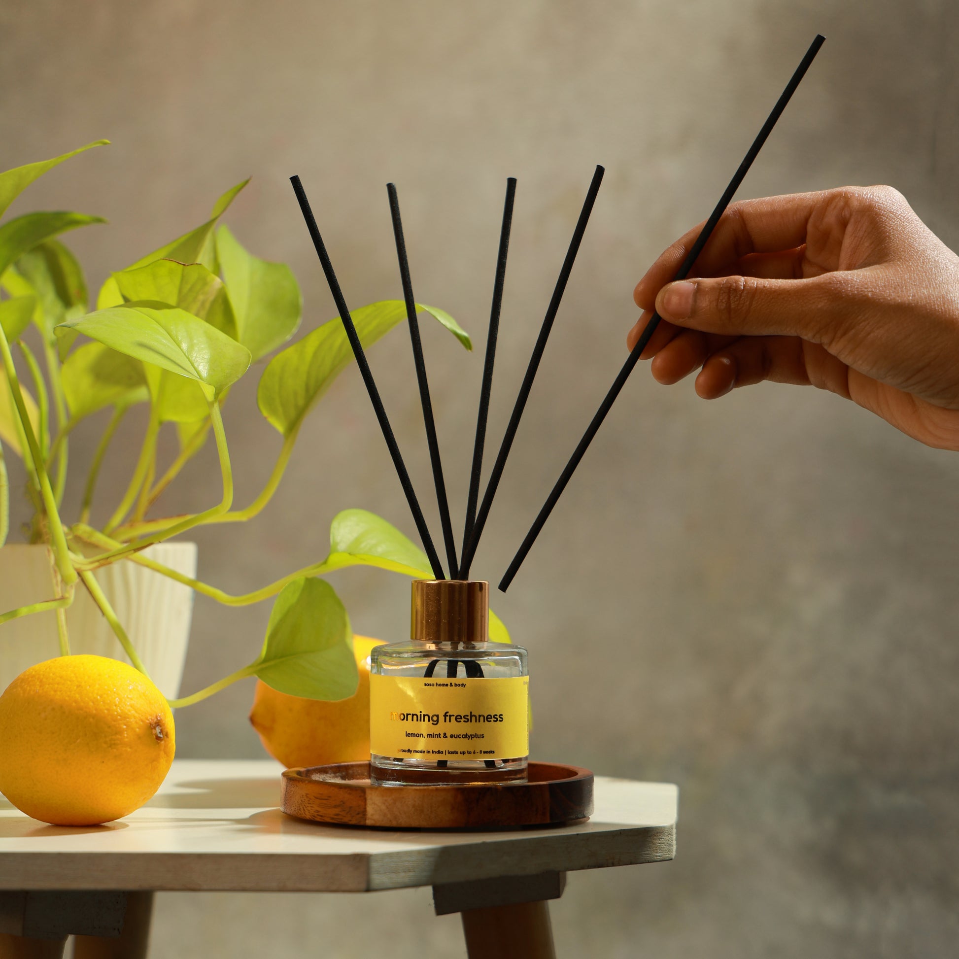Best reed diffuser that smells like a clean house