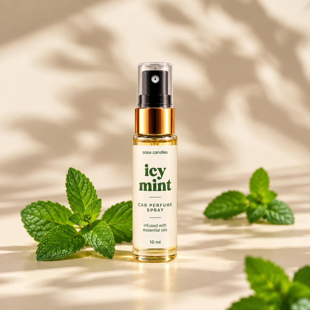 Icy Mint Hanging Car Perfume (12ml)